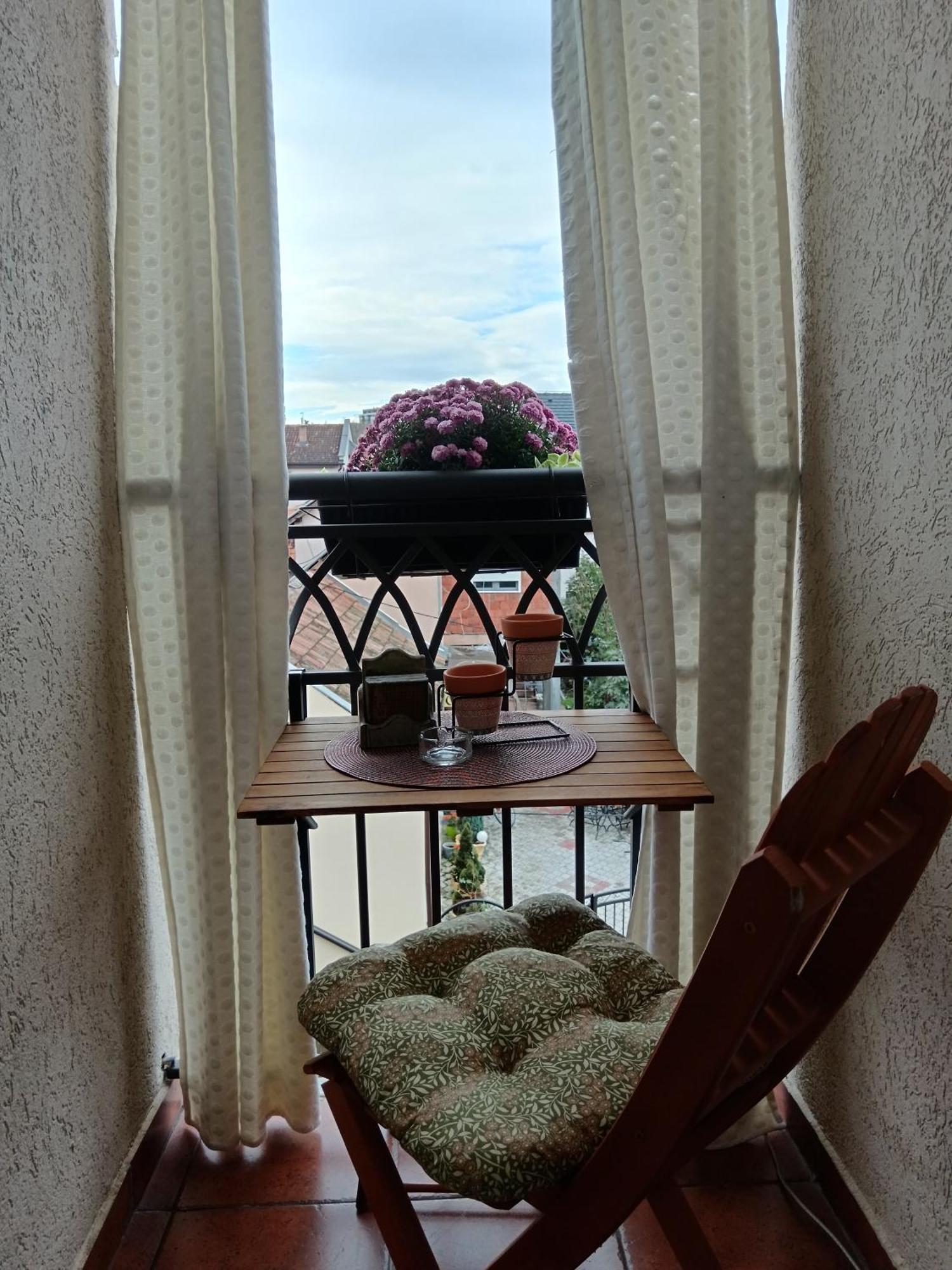 Apartman Element Krusevac Luaran gambar
